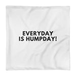 Hump day  Pillow Case only
